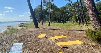 Redimension 1920x1080 - 6