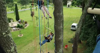 Grimpe arbre 3